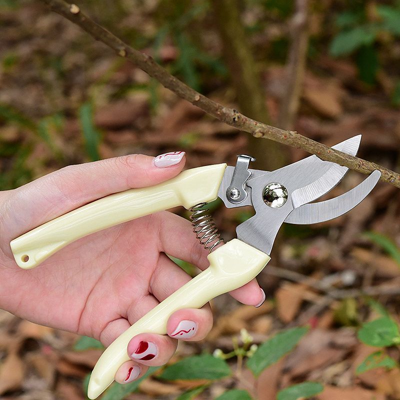 Pruning Shears - 省力型ガーデン剪定鋏、枝、花茎、果樹の剪定用プロ用ハンドプルーナー、高耐久性