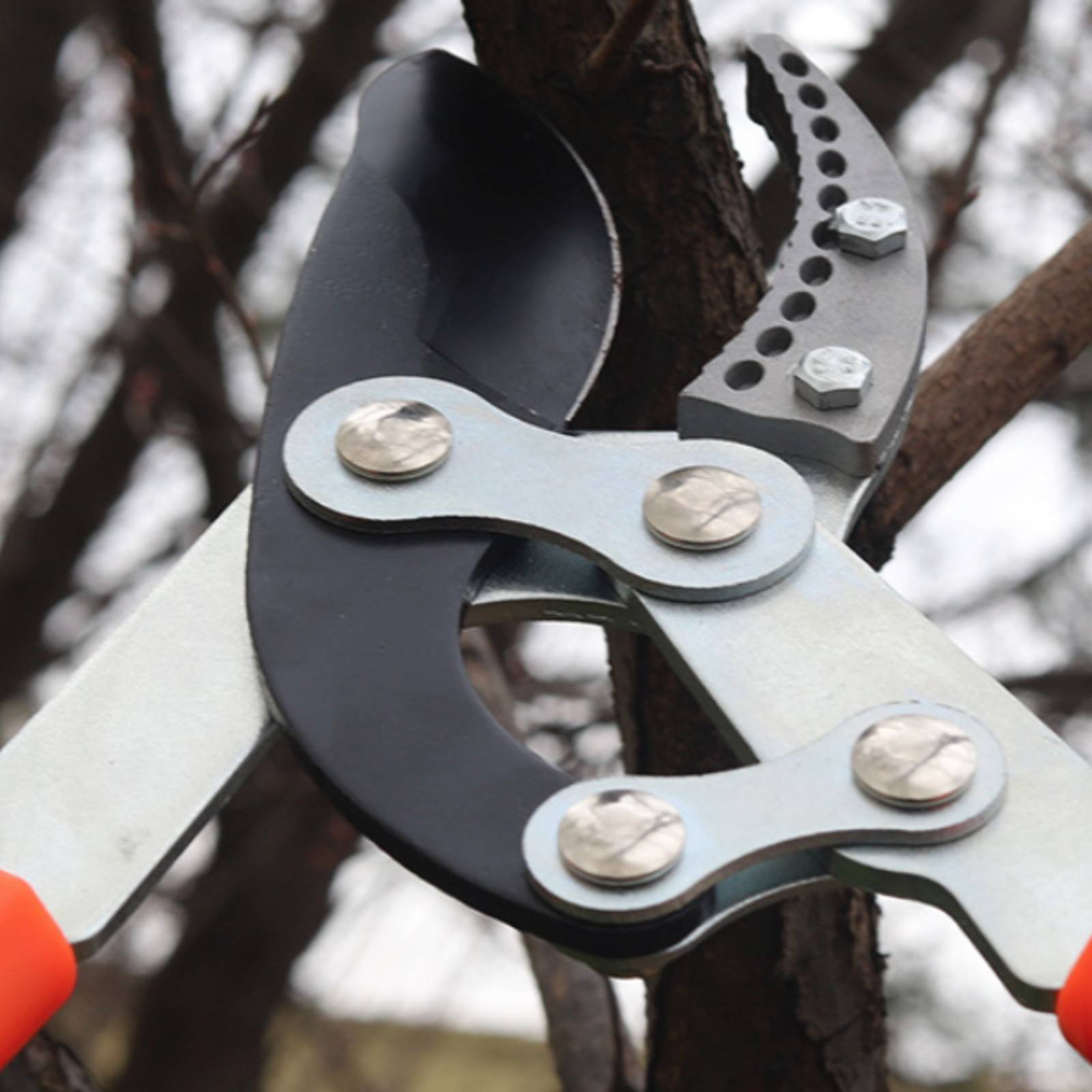 Pruning Shears - 伸縮式枝切り鋏 シャープブレード 頑丈な木剪定鋏 剪定鋏 快適なグリップ ガーデニングツール