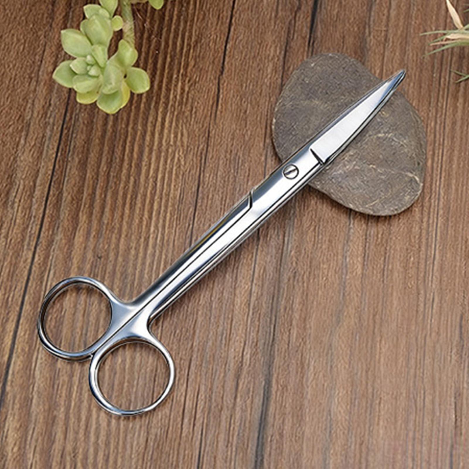 Pruning Shears - 植物用剪定鋏 ステンレス鋼製 人間工学に基づいた剪定ばさみ 室内植物用カッター 屋内屋外庭園パティオポーチ芝生用