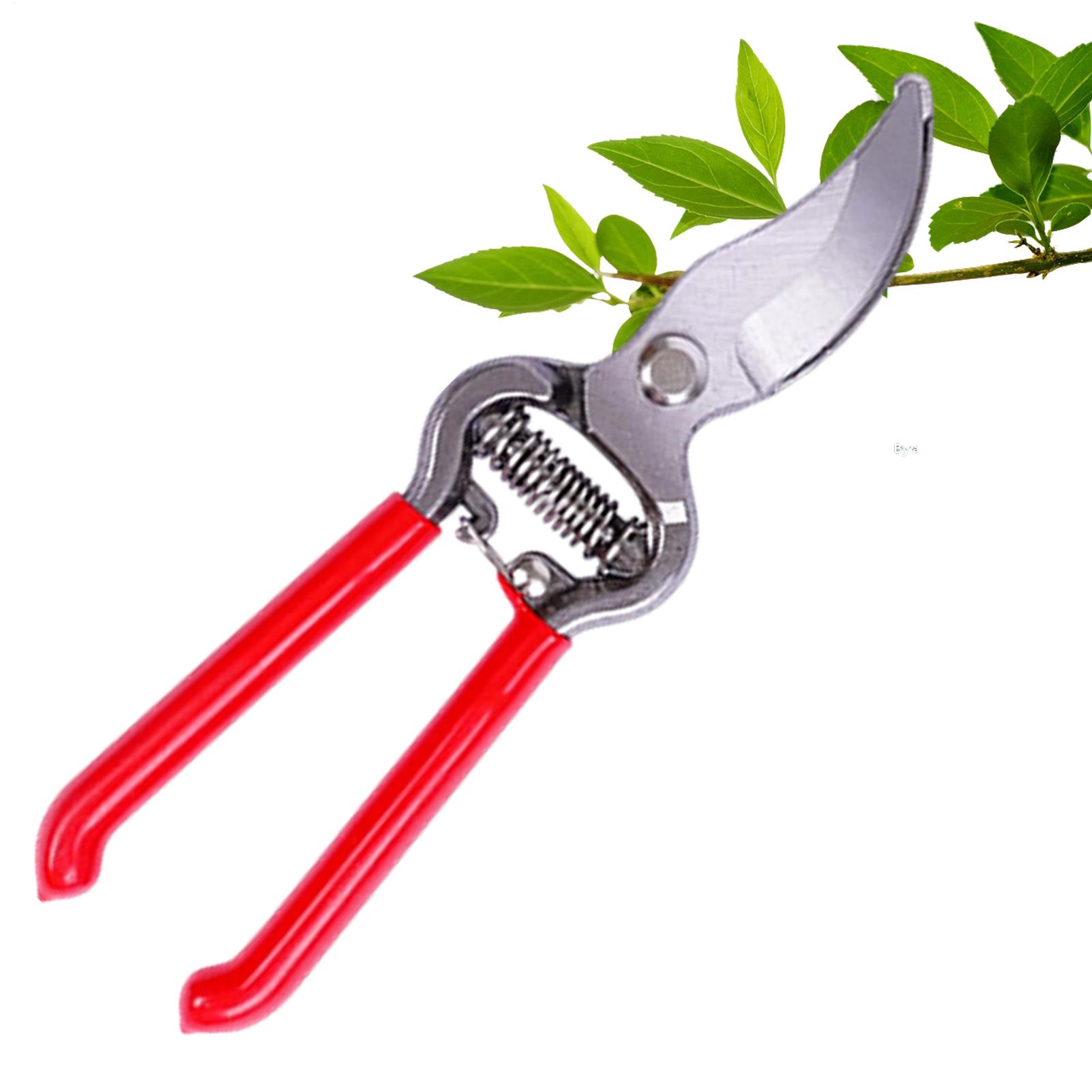 Pruning Shears - 植物用剪定鋏 鉢植え用ハンドヘルドハサミ 屋内屋外公園温室裏庭中庭通路用剪定鋏