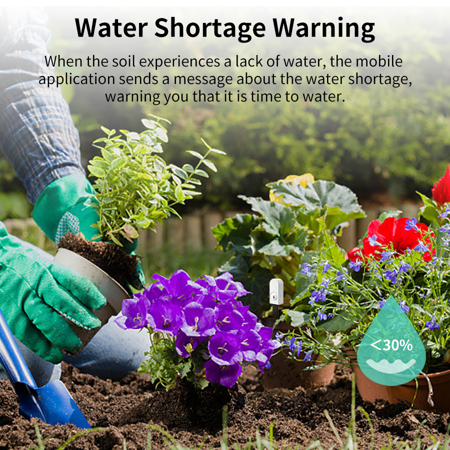 スマート ZigBee 土壌水分センサー温度湿度計検出器温湿 - Moisture Meter Plant のレビューと価格