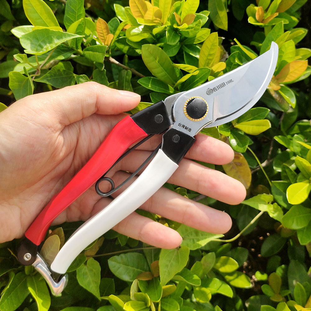 サカワダ-日本の鋼剪定ばさみ、園芸工具、果物の枝はさみ、樹木 - Gardening Tools Japan のレビューと価格