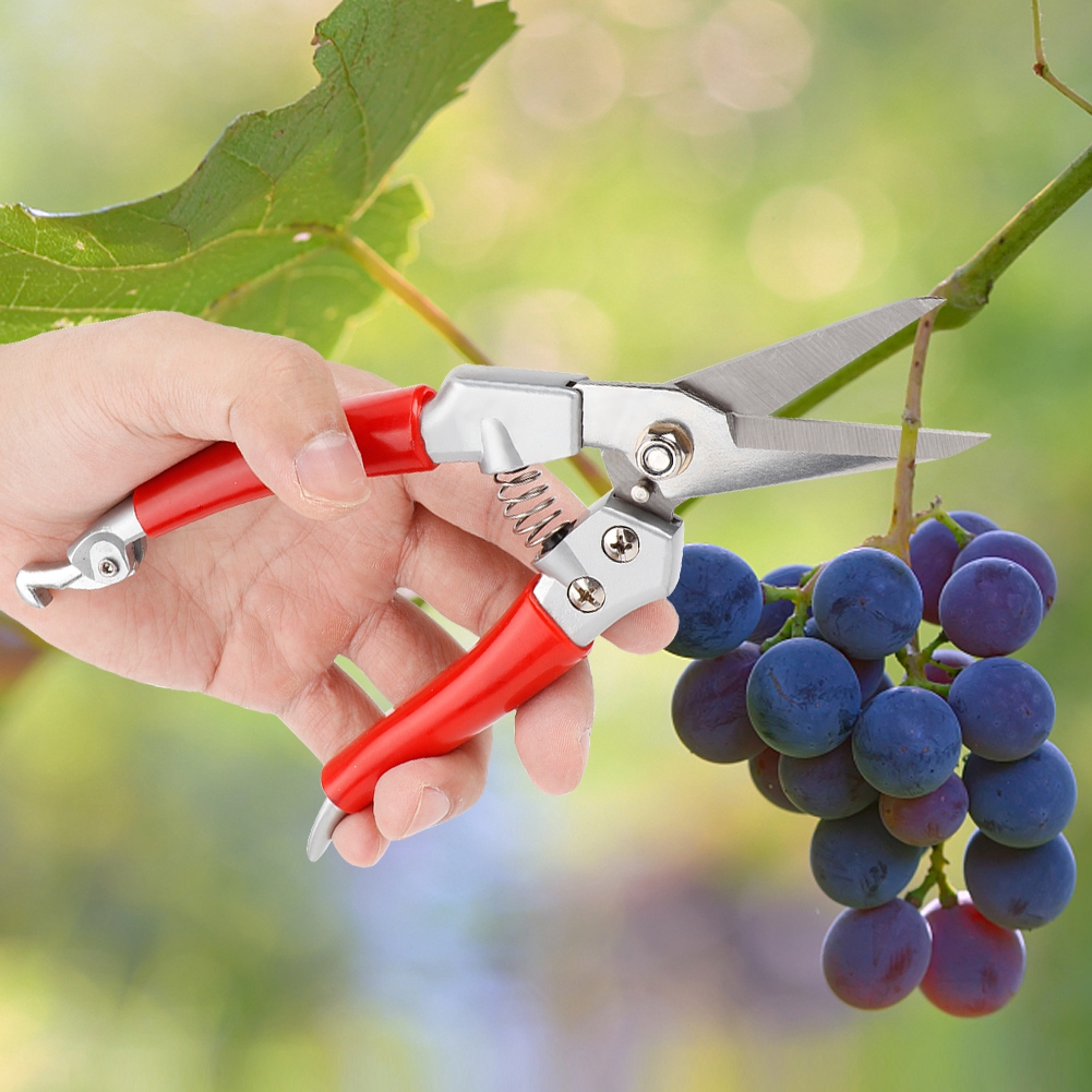 植物剪定鋏 ストレート剪定鋏 ガーデニング用植物剪定鋏 赤い - Pruning Shears のレビューと価格