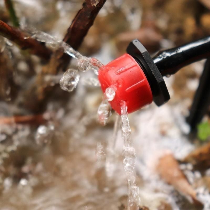 30/300個入り 8穴 レッド・リディング・フード型 ドリ - Garden Hose Nozzle のレビューと価格