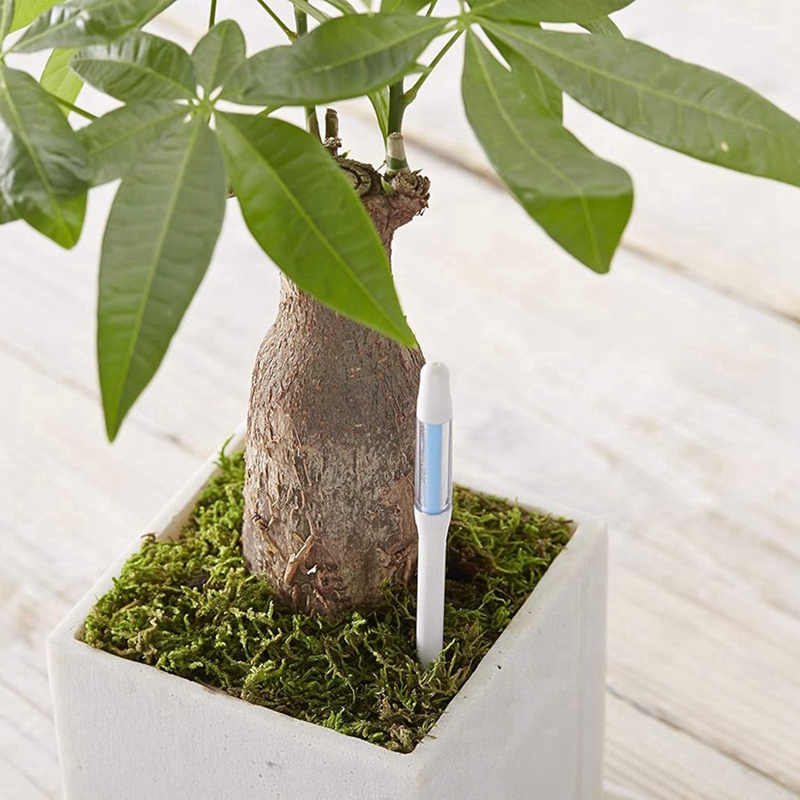 アクアメーター、5個入り、植物土壌水分センサー、室内植物土壌 - Moisture Meter Plant のレビューと価格