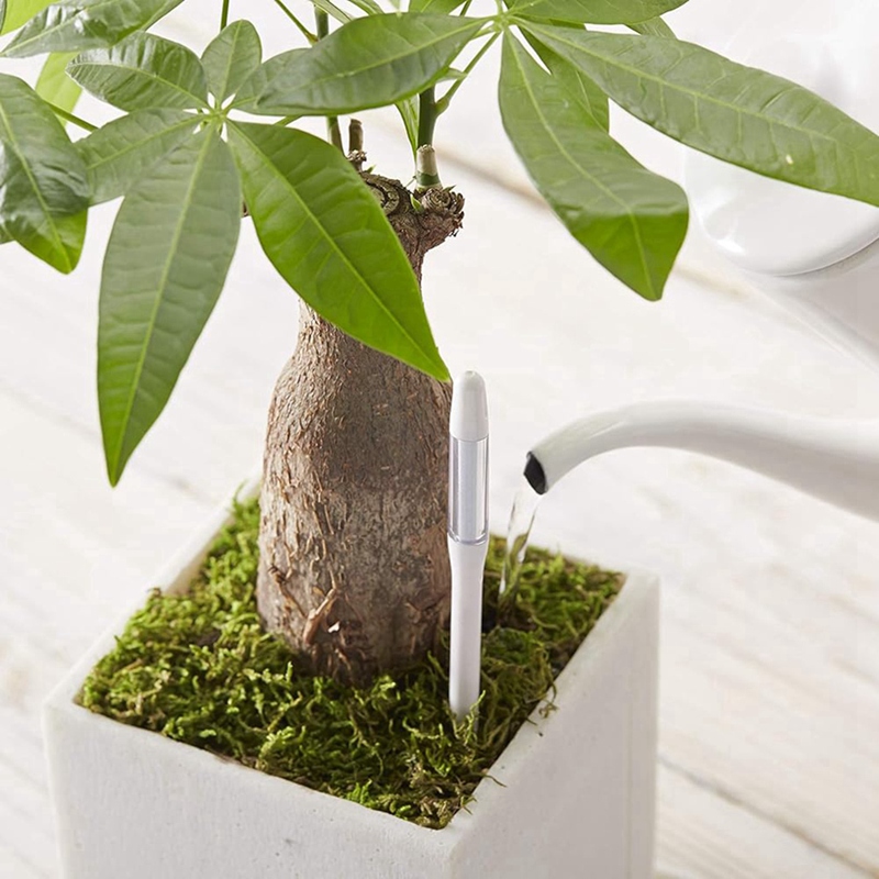 アクアメーター、5個入り、植物土壌水分センサー、室内植物土壌 - Moisture Meter Plant のレビューと価格