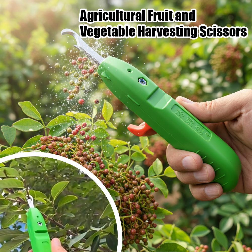 果物と野菜の収穫用剪定鋏、庭用剪定ばさみ、曲刃収穫ツール、ブ - Gardening Tools Vegetables のレビューと価格