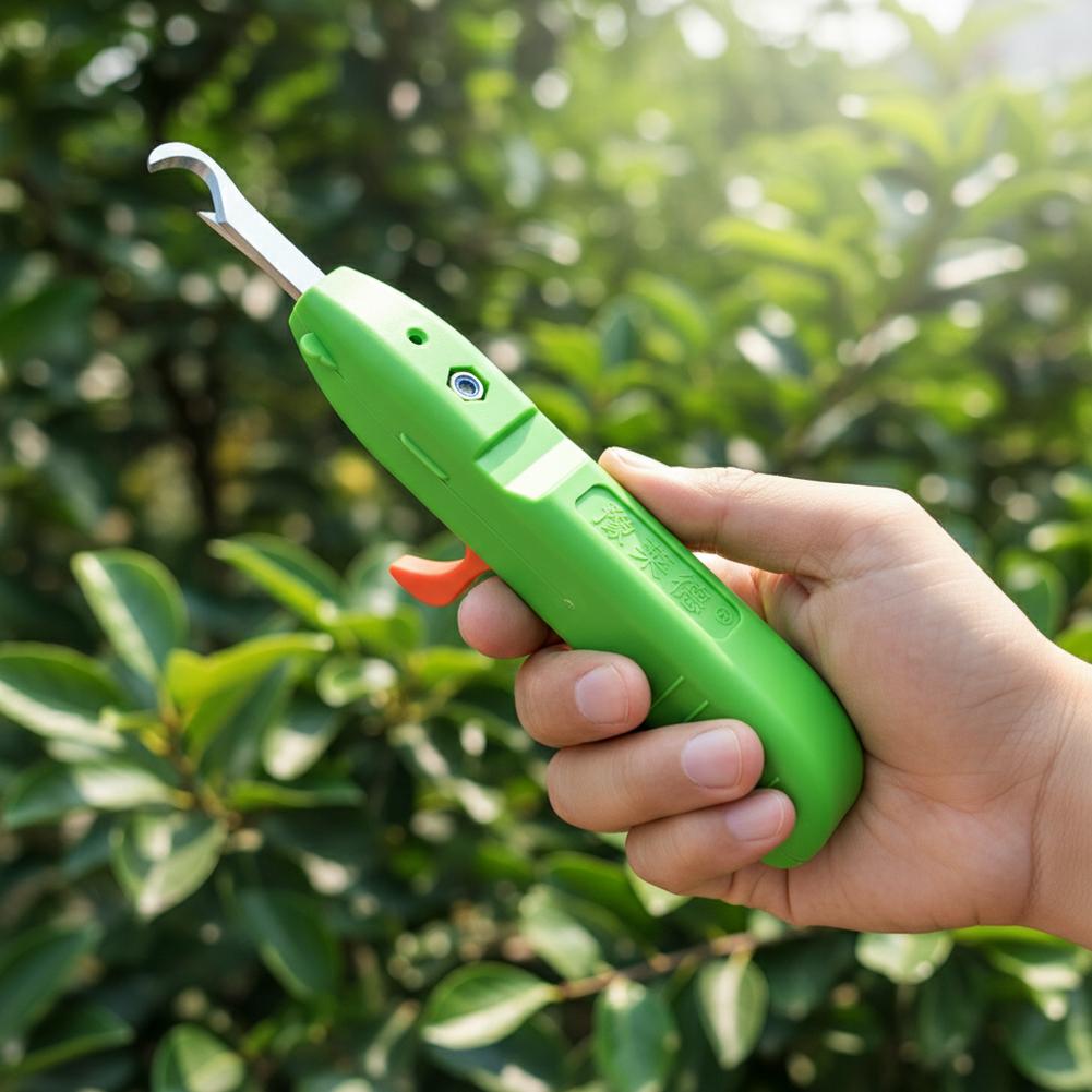 果物と野菜の収穫用剪定鋏、庭用剪定ばさみ、曲刃収穫ツール、ブ - Gardening Tools Vegetables のレビューと価格