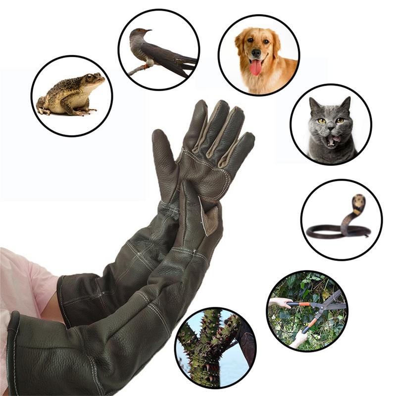 ペット用保護手袋,非合成皮革,猫,犬,庭用,トレーニング用, - Gardening Tools Gloves のレビューと価格