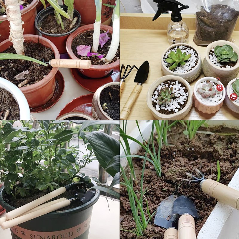 木製ハンドル付きミニガーデニングツールセット3点、屋内植栽や - Gardening Tools Wooden のレビューと価格