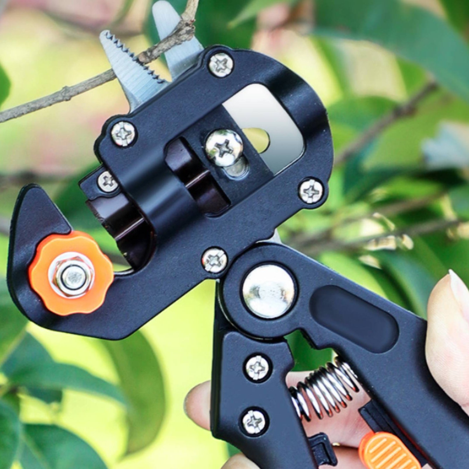 剪定接ぎ木鋏 2 in 1 果樹接ぎ木カッター マルチブレー - Pruning Shears のレビューと価格