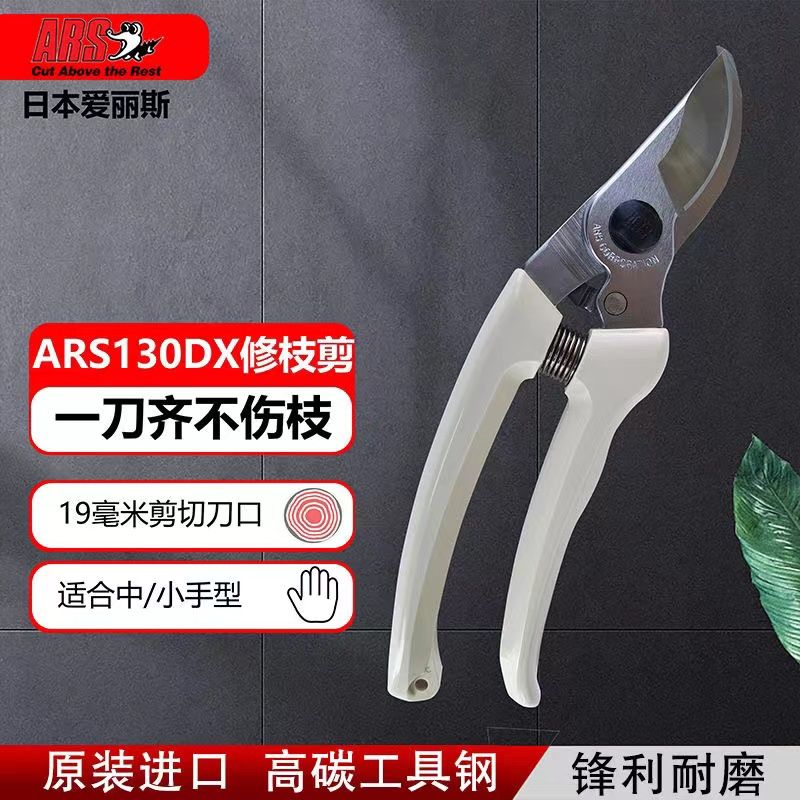 剪定鋏、ガーデンツール、木と花の切り落とし、日本から輸入した - Gardening Tools Japan のレビューと価格