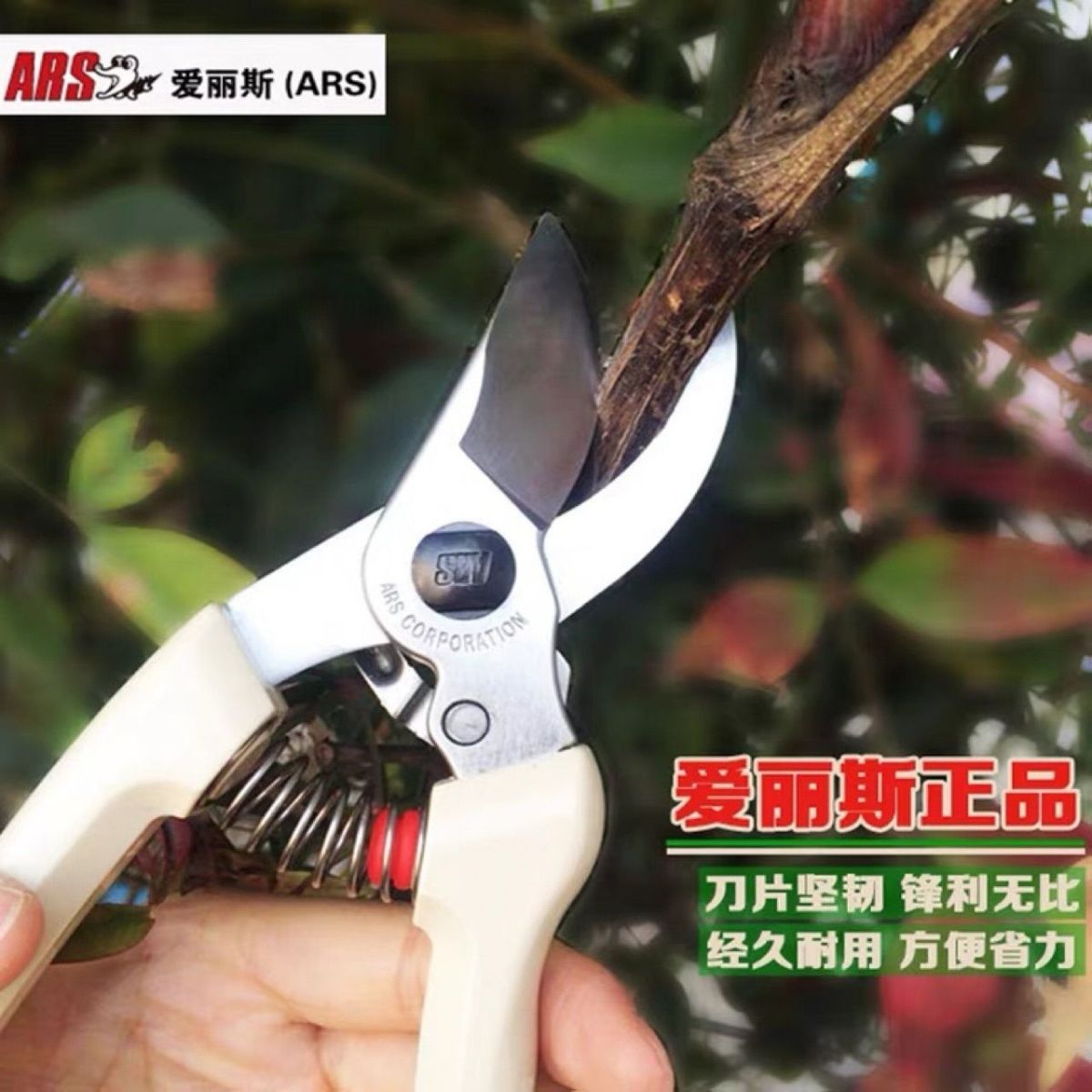 剪定鋏、ガーデンツール、木と花の切り落とし、日本から輸入した - Gardening Tools Japan のレビューと価格