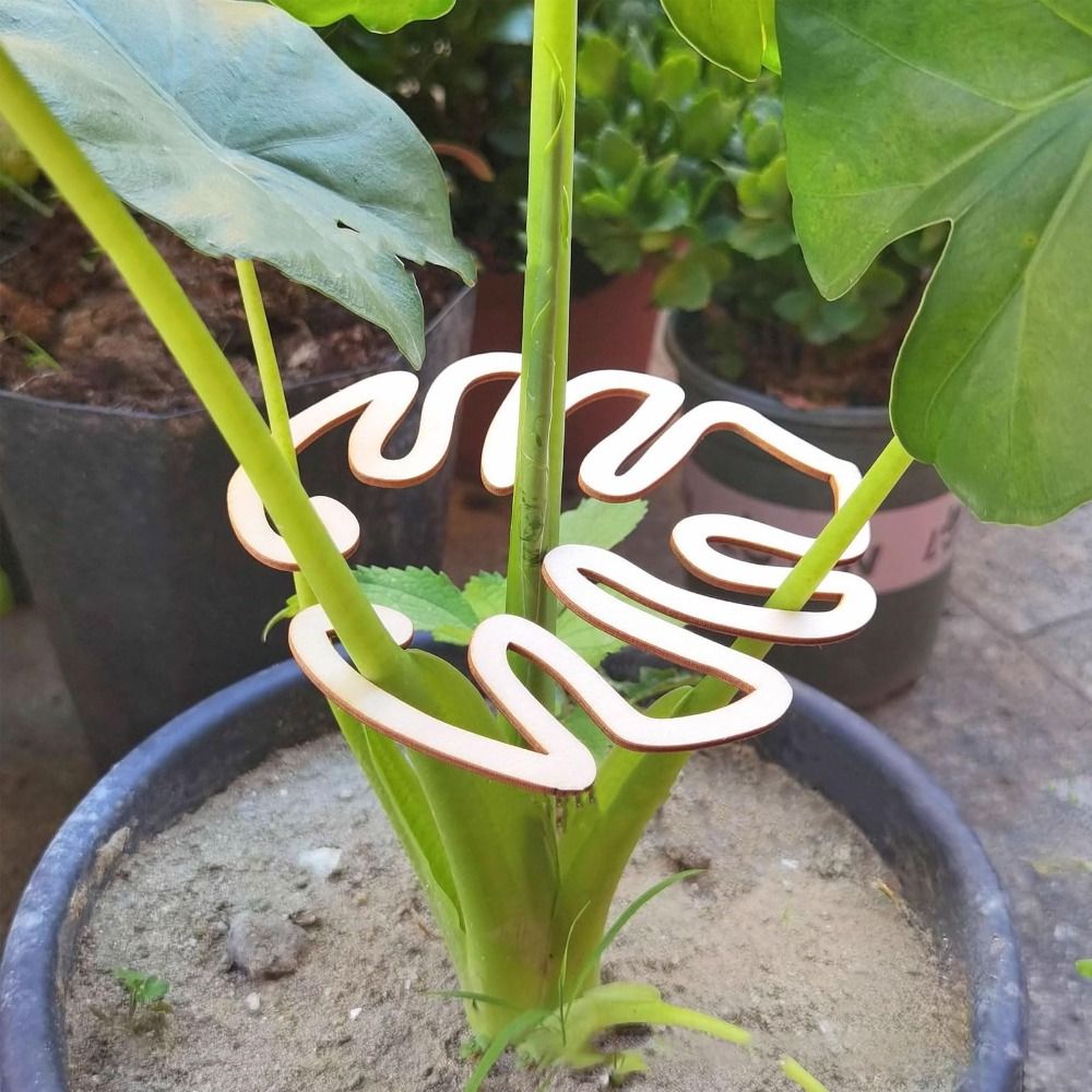 1/2 個再利用可能な亀の甲羅竹クランプサポート枝幹オーガナ - Gardening Tools Wooden のレビューと価格