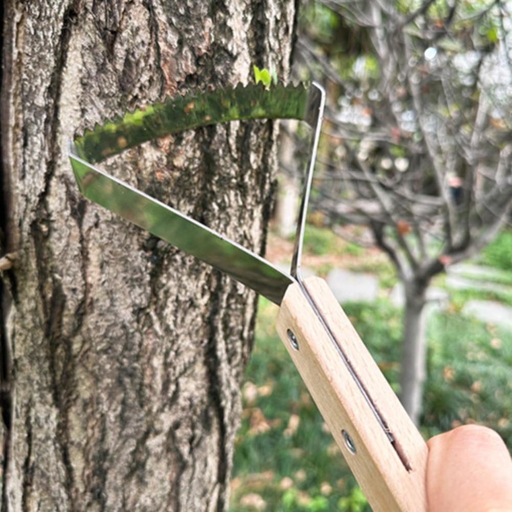 1pc ガーデンクリーニングスクレーパー金属スクレーパー三角 - Gardening Tools Wooden のレビューと価格
