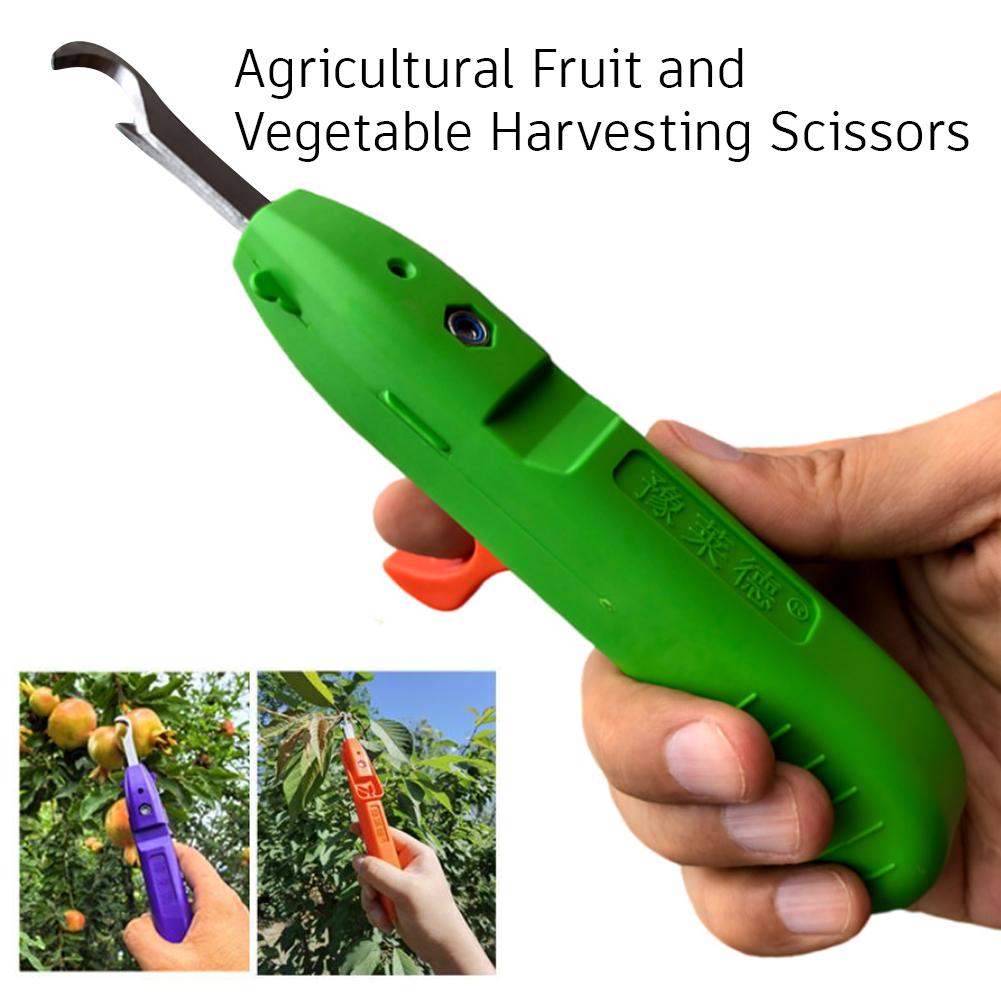 ポータブル果物野菜クイックピッキング多機能園芸剪定ツール果物 - Gardening Tools Vegetables のレビューと価格