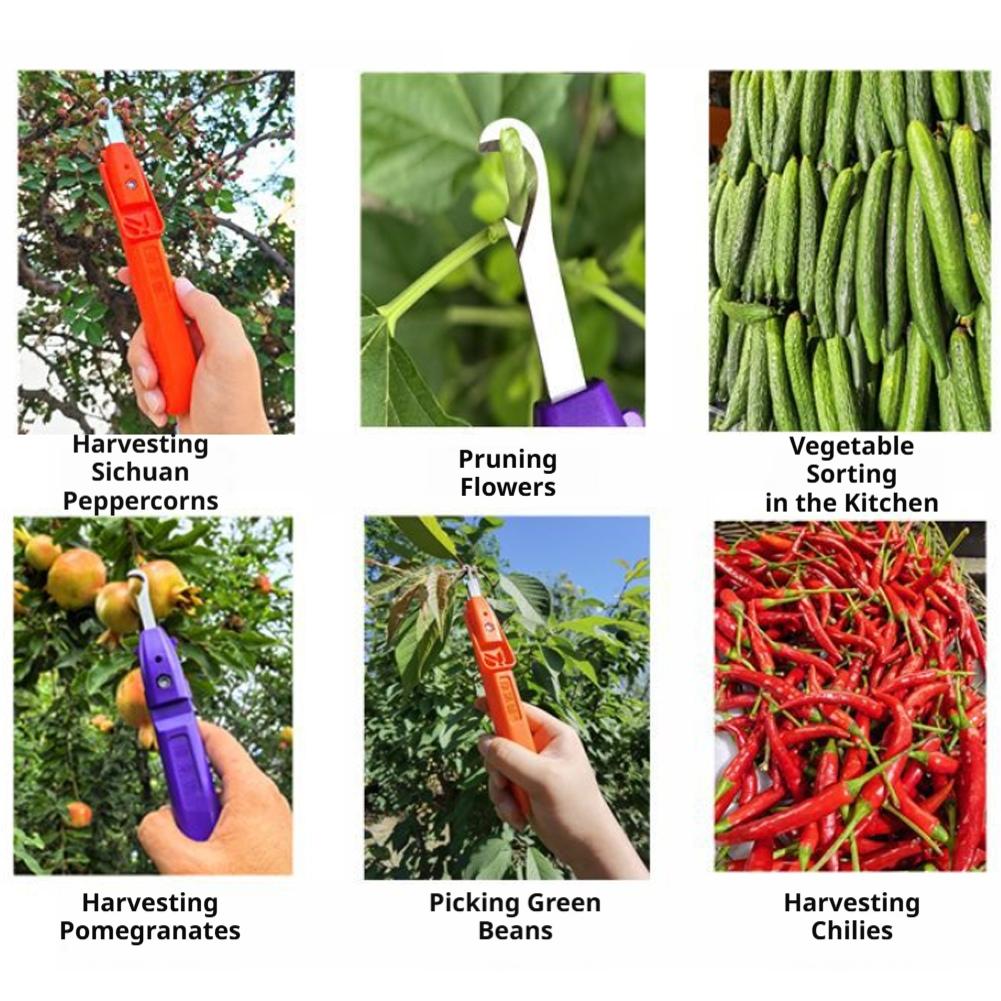 ポータブル果物野菜クイックピッキング多機能園芸剪定ツール果物 - Gardening Tools Vegetables のレビューと価格