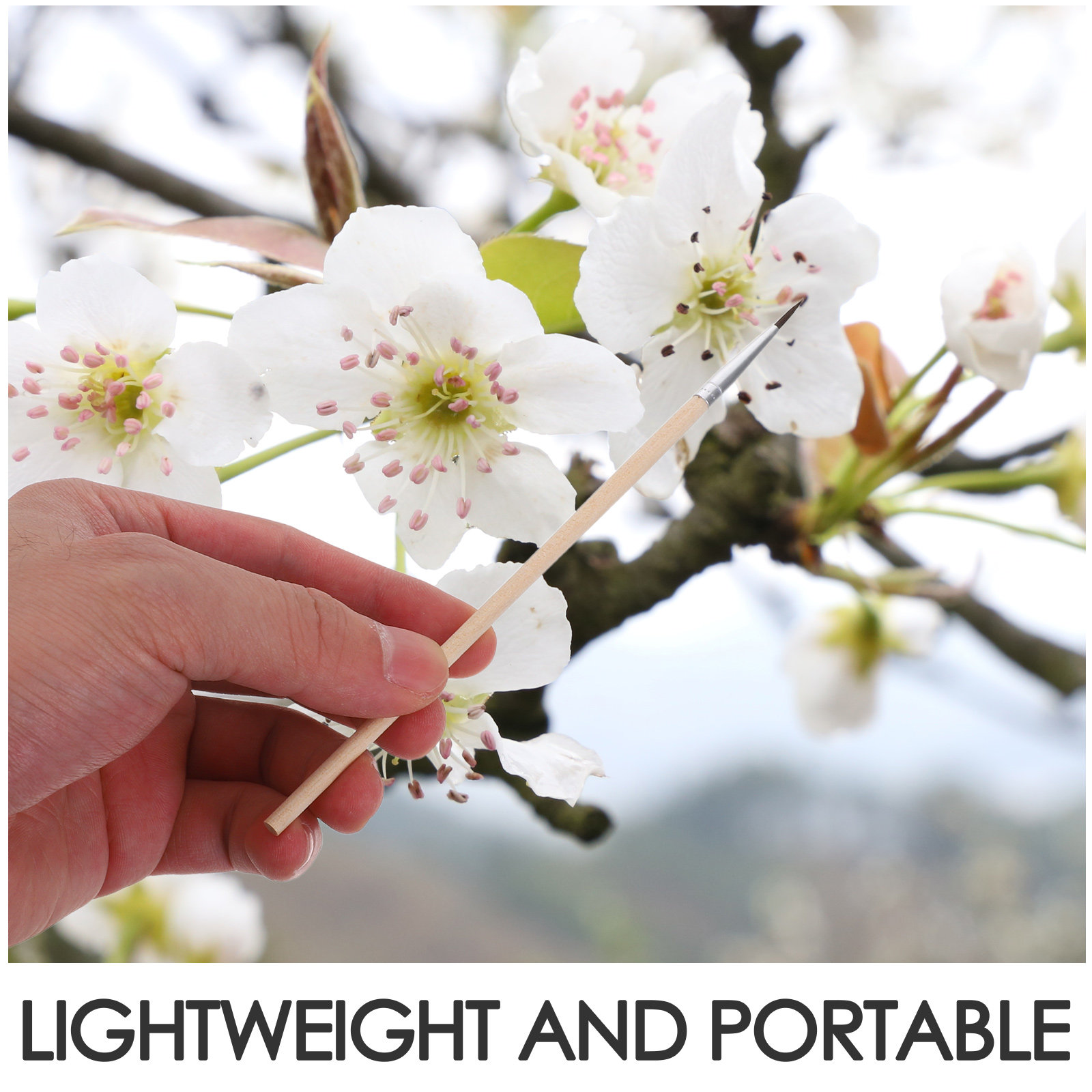 24個入り ガーデン受粉ブラシ プロ仕様 細い先端 手動授粉 - Gardening Tools Vegetables のレビューと価格