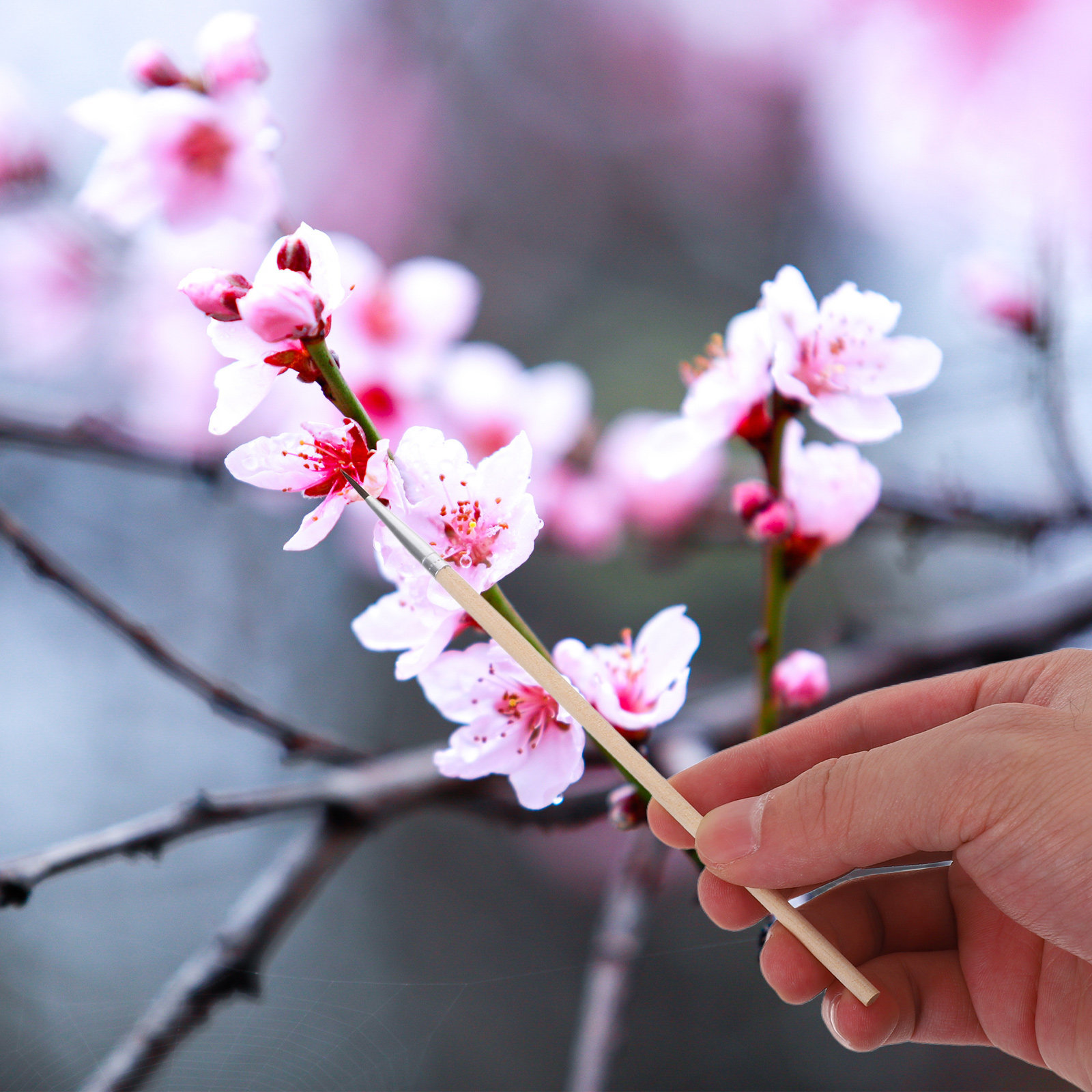 24個入り ガーデン受粉ブラシ プロ仕様 細い先端 手動授粉 - Gardening Tools Vegetables のレビューと価格