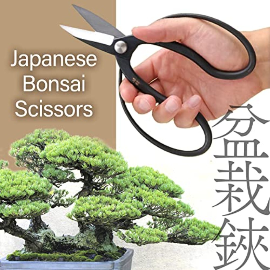 日本の水龍盆栽鋏 - 伝統的なハサミ剪定鋏、日本の盆栽園芸工 - Gardening Tools Japan のレビューと価格