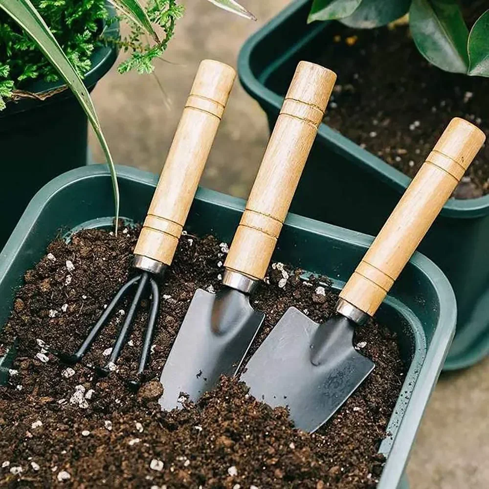 3 ピース/セットミニガーデンツールセット小型屋内植物ケア掘 - Gardening Tools Vegetables のレビューと価格