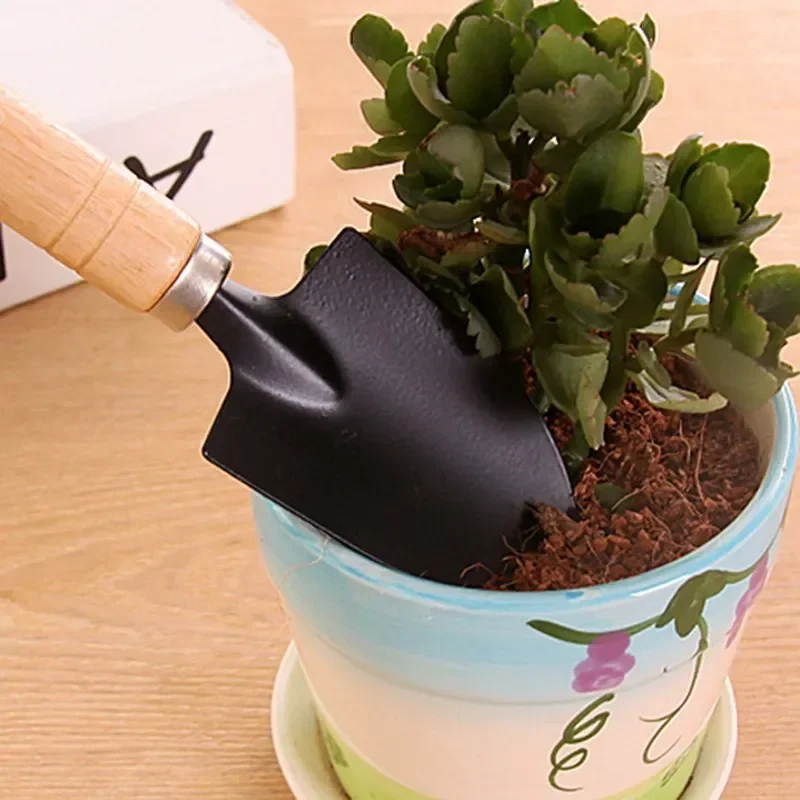 3 ピース/セットミニガーデンツールセット小型屋内植物ケア掘 - Gardening Tools Vegetables のレビューと価格