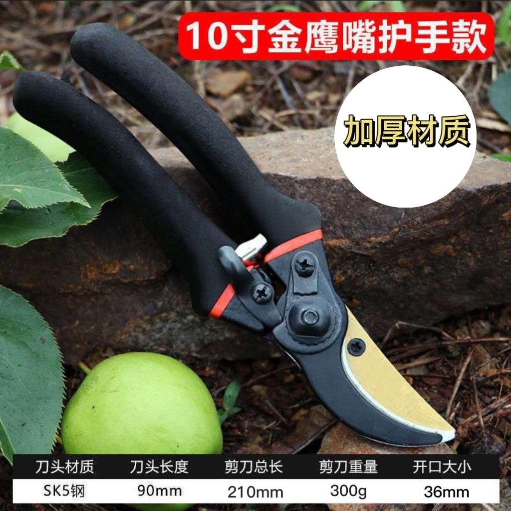日本製SK5鋼枝切り鋏 庭木鋏 果樹剪定鋏 園芸工具 - Gardening Tools Japan のレビューと価格