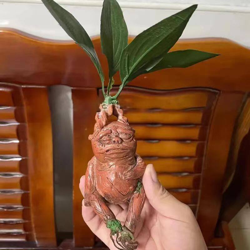 マンドラック マンドラック樹脂製オーナメント ホームデコレー - Gardening Tools Amazon のレビューと価格