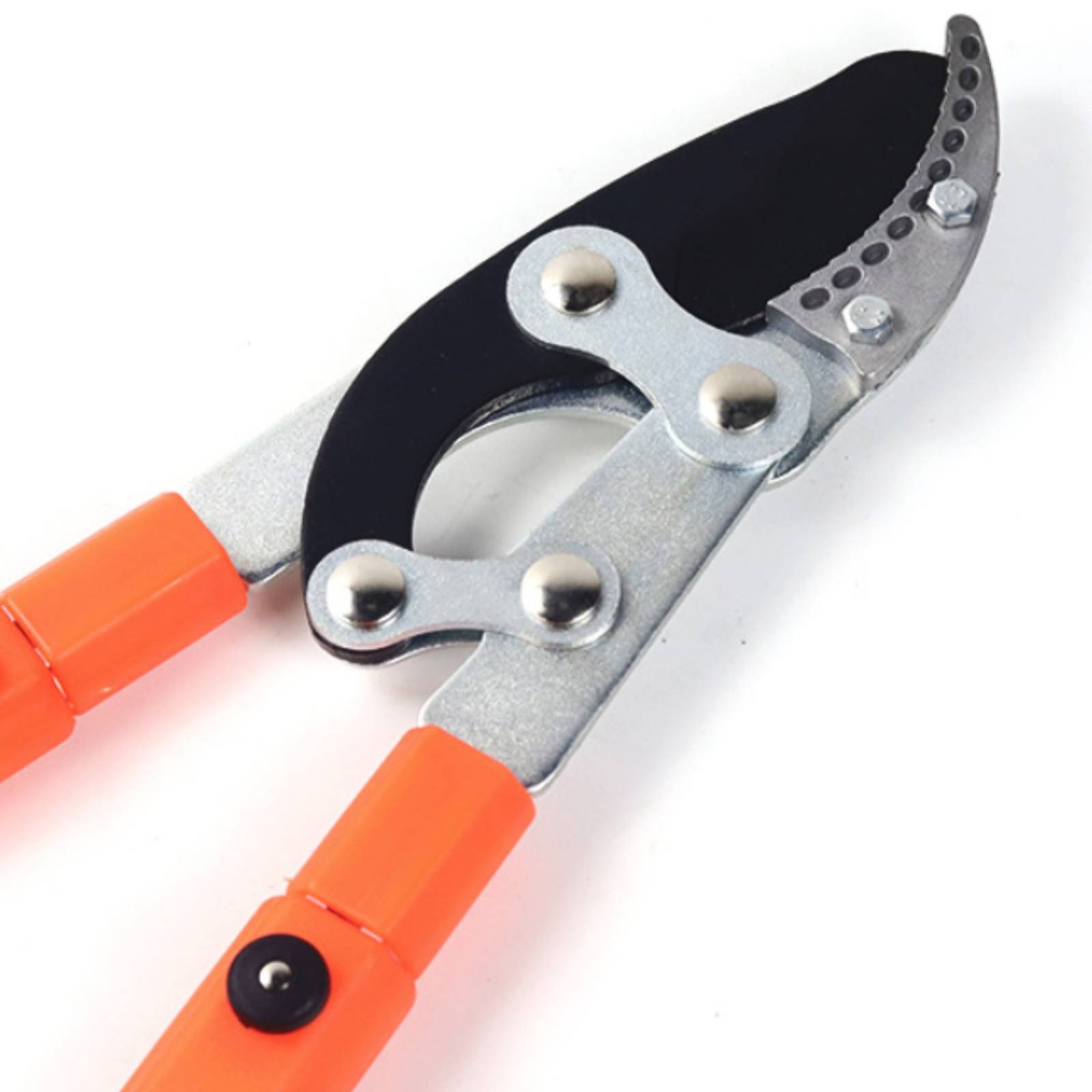 伸縮式枝切り鋏 シャープブレード 頑丈な木剪定鋏 剪定鋏 快 - Pruning Shears のレビューと価格