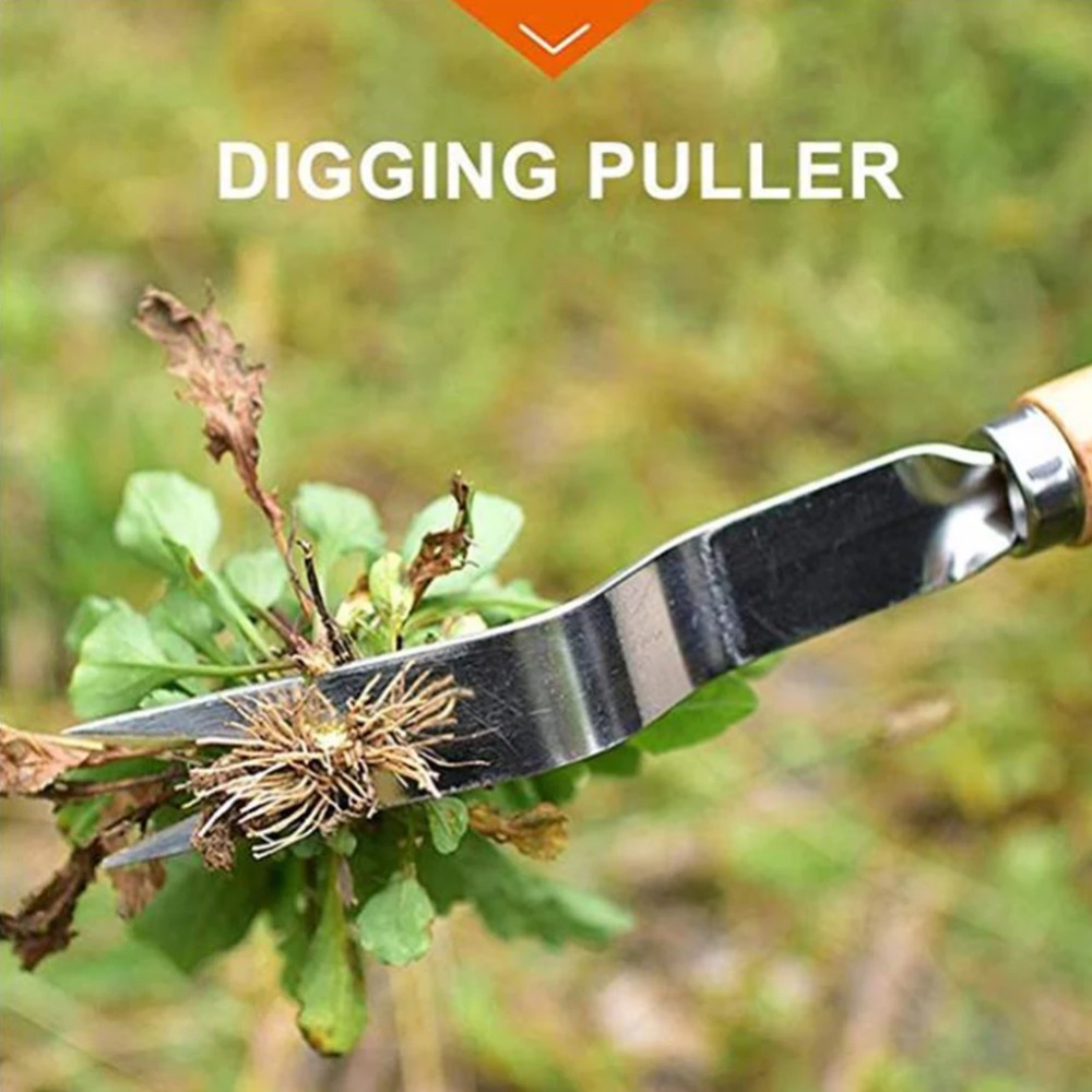 木製ハンドル付きステンレス製ガーデンピンセット,取り外し,カ - Gardening Tools Wooden のレビューと価格