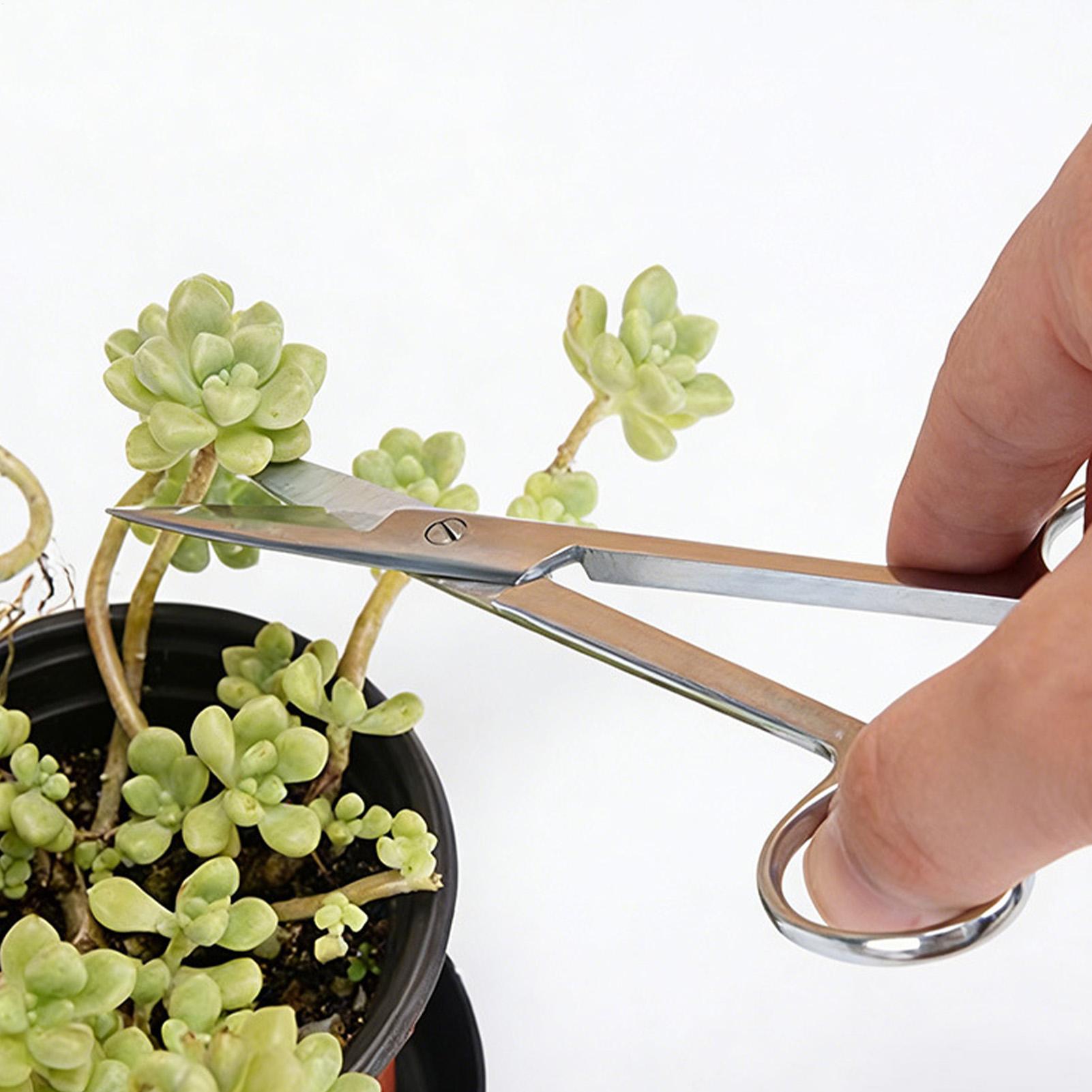 植物用剪定鋏 ステンレス鋼製 人間工学に基づいた剪定ばさみ  - Pruning Shears のレビューと価格