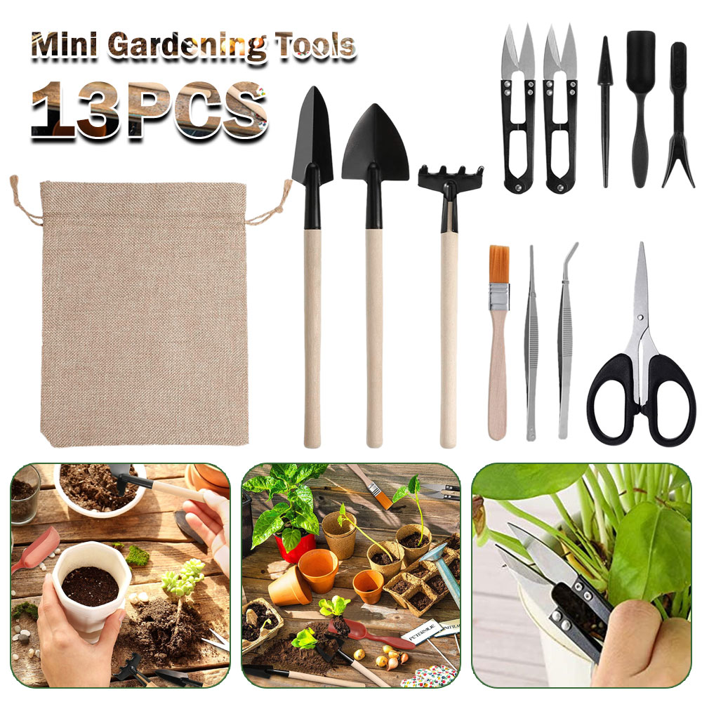 多肉植物ツールミニガーデンハンドツール金型屋外盆栽ガーデニン - Gardening Tools Wooden のレビューと価格