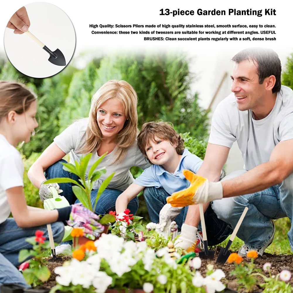 多肉植物ツールミニガーデンハンドツール金型屋外盆栽ガーデニン - Gardening Tools Wooden のレビューと価格