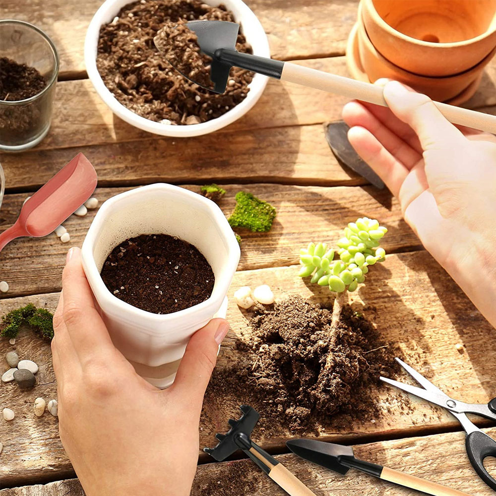 多肉植物ツールミニガーデンハンドツール金型屋外盆栽ガーデニン - Gardening Tools Wooden のレビューと価格