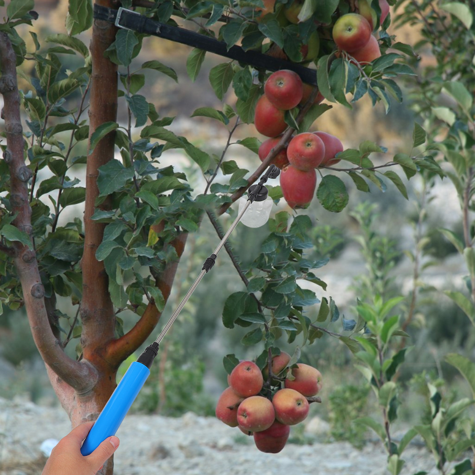果樹・野菜・庭の植物用 手動授粉スプレーヤー トマト・イチゴ - Gardening Tools Vegetables のレビューと価格